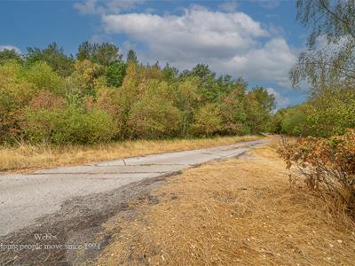 Picture 32